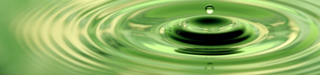 Daniel Nothmann Rotating Header Image